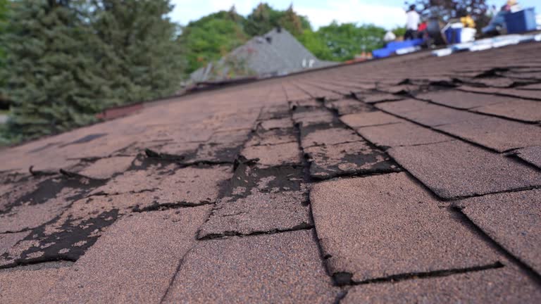 Best Gutter Installation and Repair  in Orida Gulf Coast University, FL