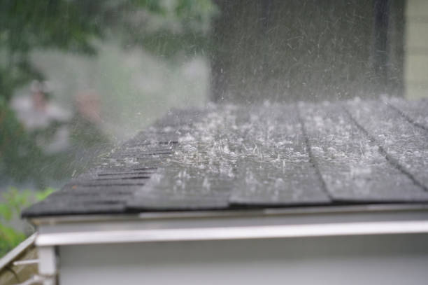 Best Green or Eco-Friendly Roofing Solutions  in Orida Gulf Coast University, FL